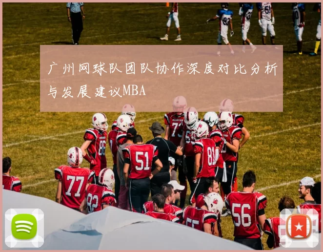 广州网球队团队协作深度对比分析与发展建议MBA