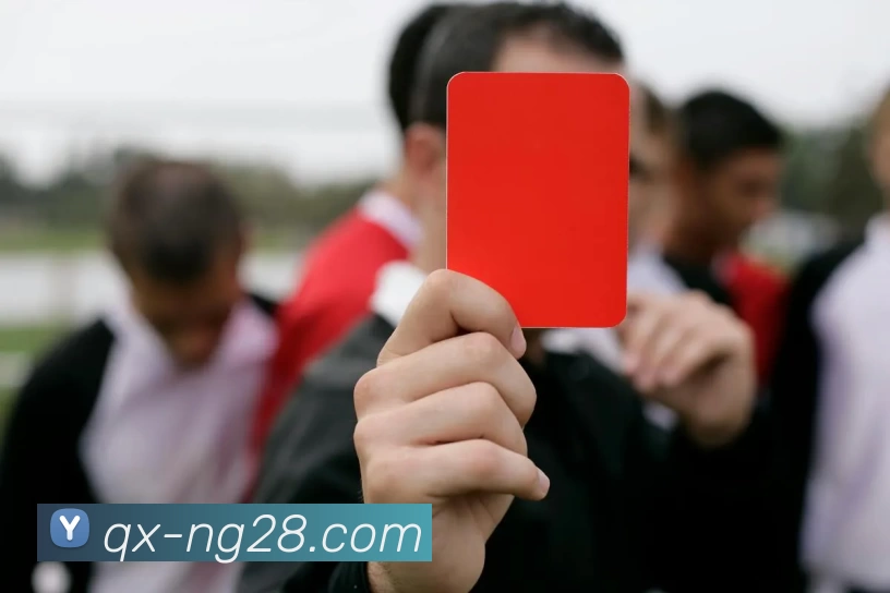 南宫28集团APP 封面图